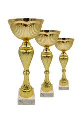 CTS 275 | SET de 3 Cupe Sportive - TrophyShop